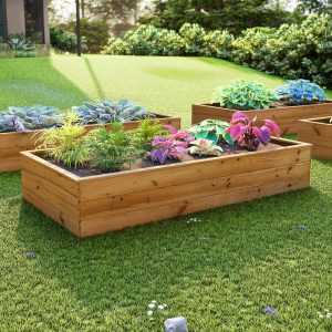 Budget Landscaping Ideas for Your Family Backyard